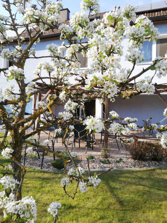 Privatzimmer Langthaler Melk Exterior foto